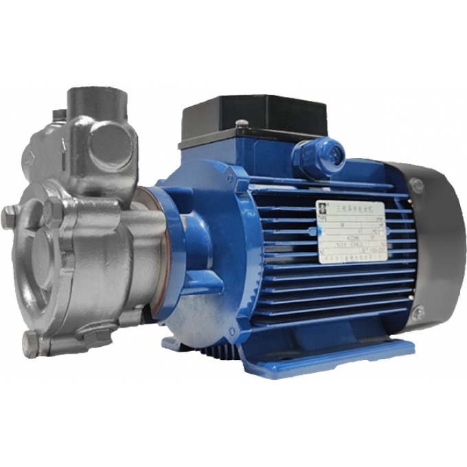 Насос CNP самовсасывающий вихревой для водоснабжения - флотатор из нерж. стали 65 750 мм 40QYLB-6